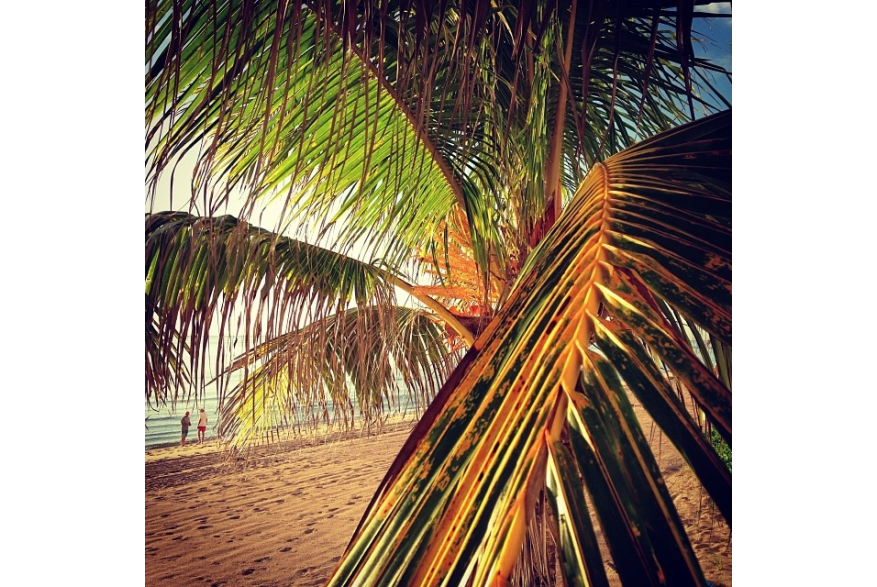 Instagram photo liked on 10/09/13