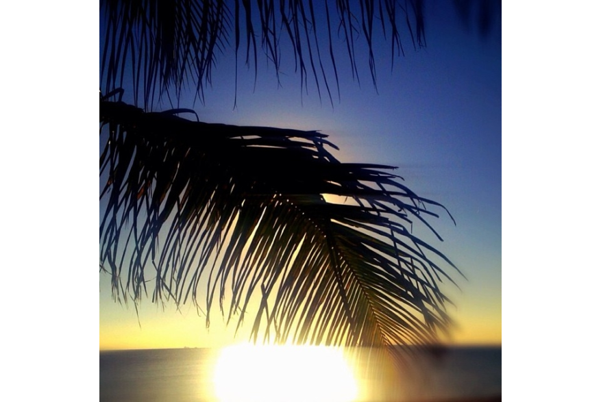 Instagram photo liked on 03/01/14