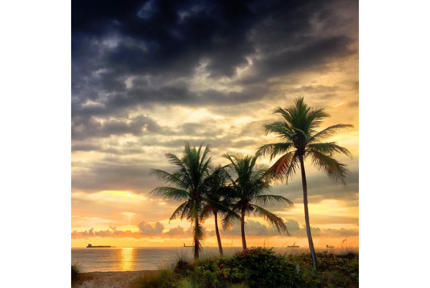 Instagram photo liked on 11/09/14