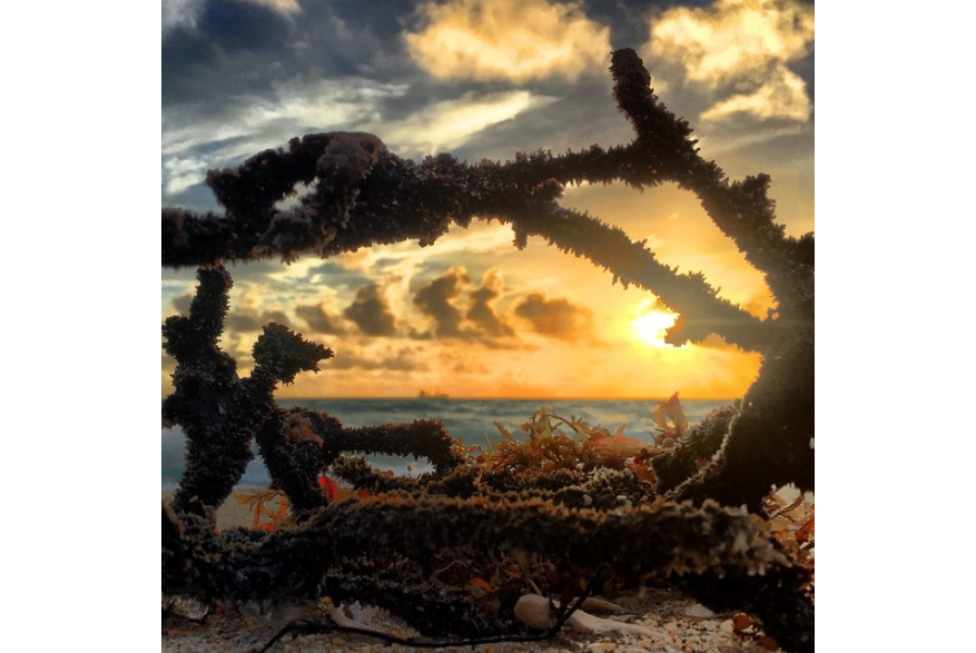 Instagram photo liked on 11/25/14