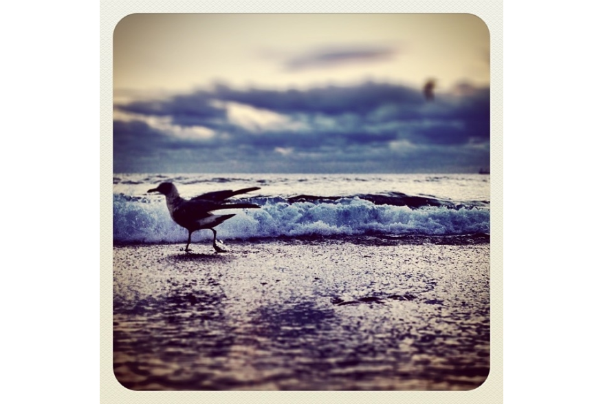 Instagram photo liked on 12/17/13
