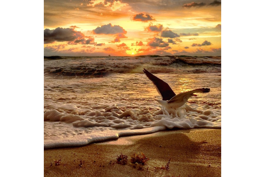 Instagram photo liked on 01/09/15