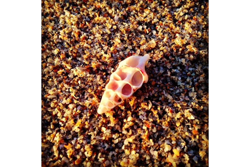 Instagram photo liked on 11/21/13
