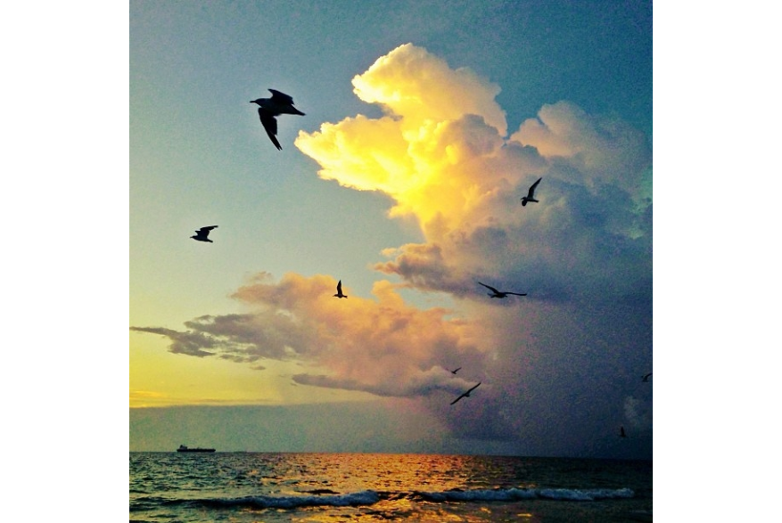 Instagram photo liked on 09/10/13