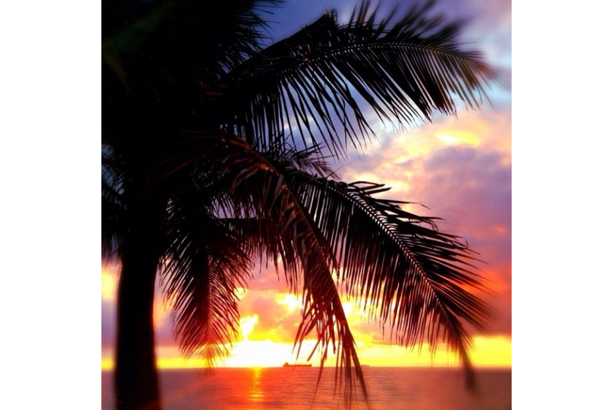 Instagram photo liked on 10/20/13