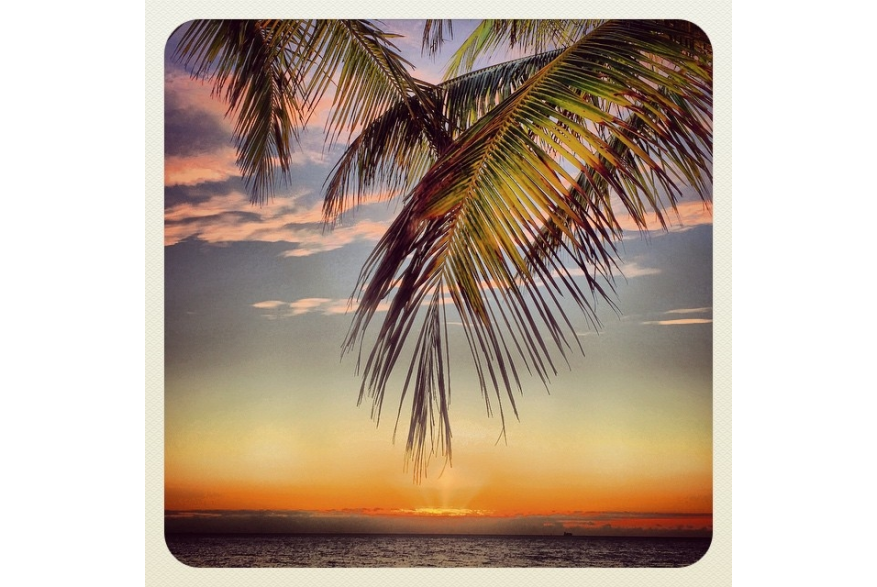 Instagram photo liked on 01/26/15