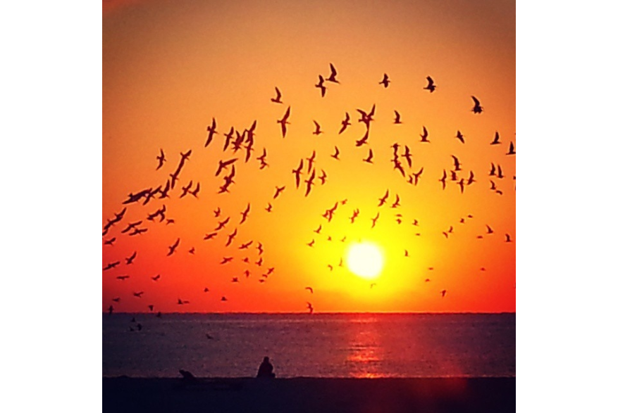 Instagram photo liked on 02/03/15