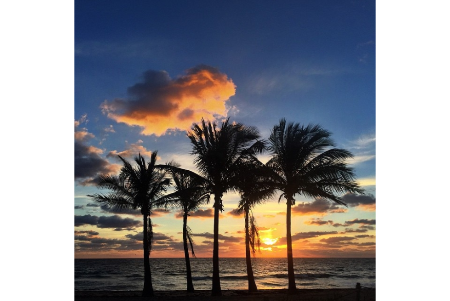 Instagram photo liked on 02/16/15