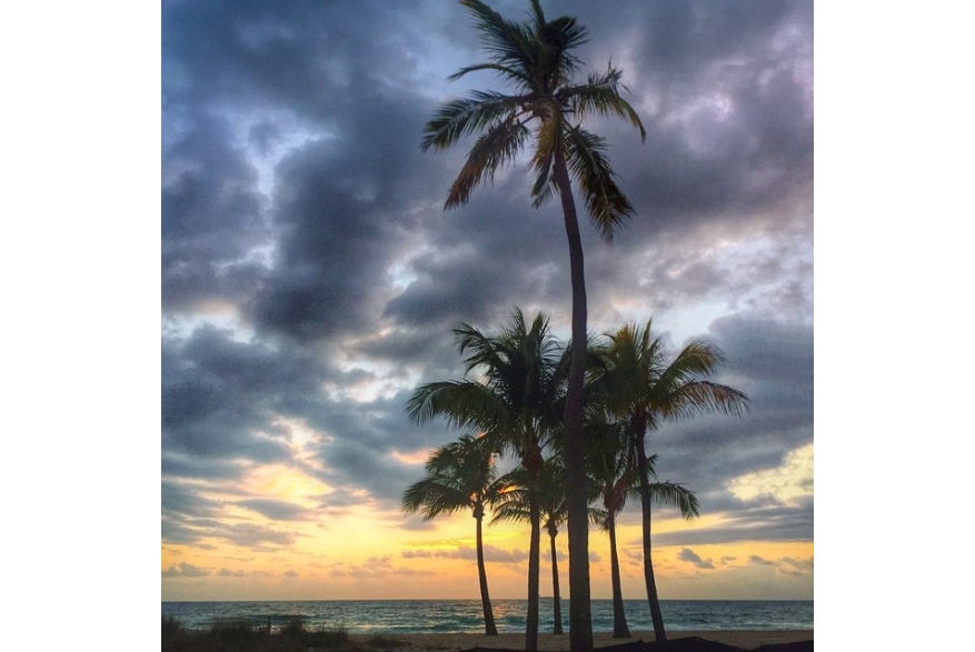 Instagram photo liked on 02/17/15