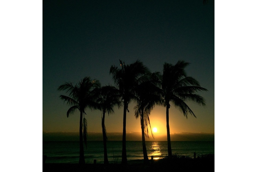 Instagram photo liked on 02/20/15