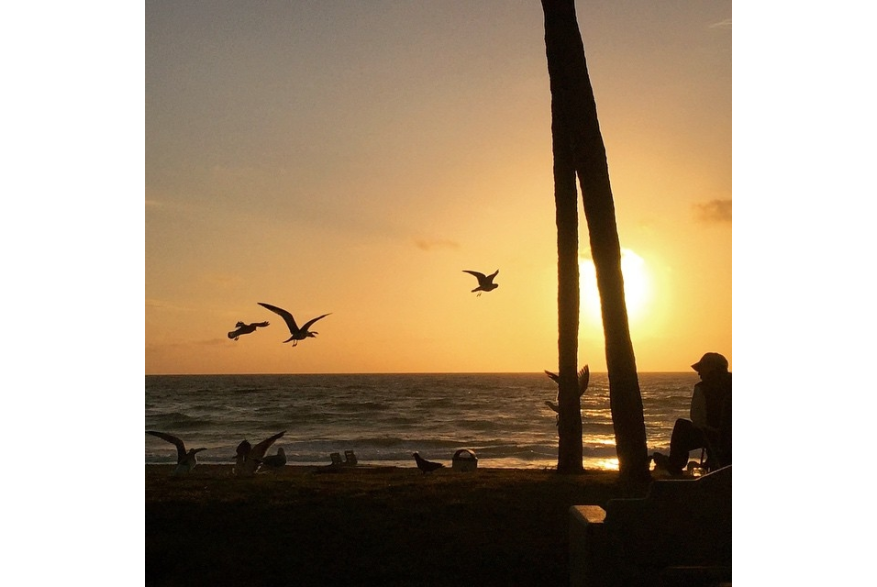 Instagram photo liked on 02/22/15