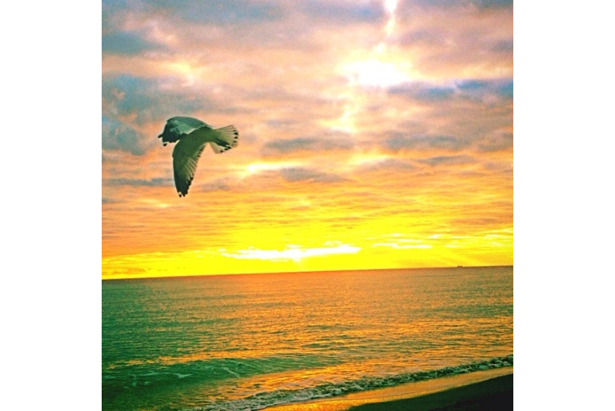 Instagram photo liked on 12/03/13
