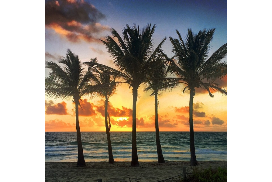 Instagram photo liked on 03/12/15