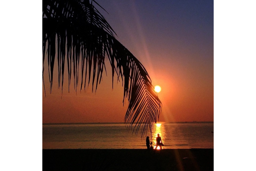 Instagram photo liked on 03/21/15