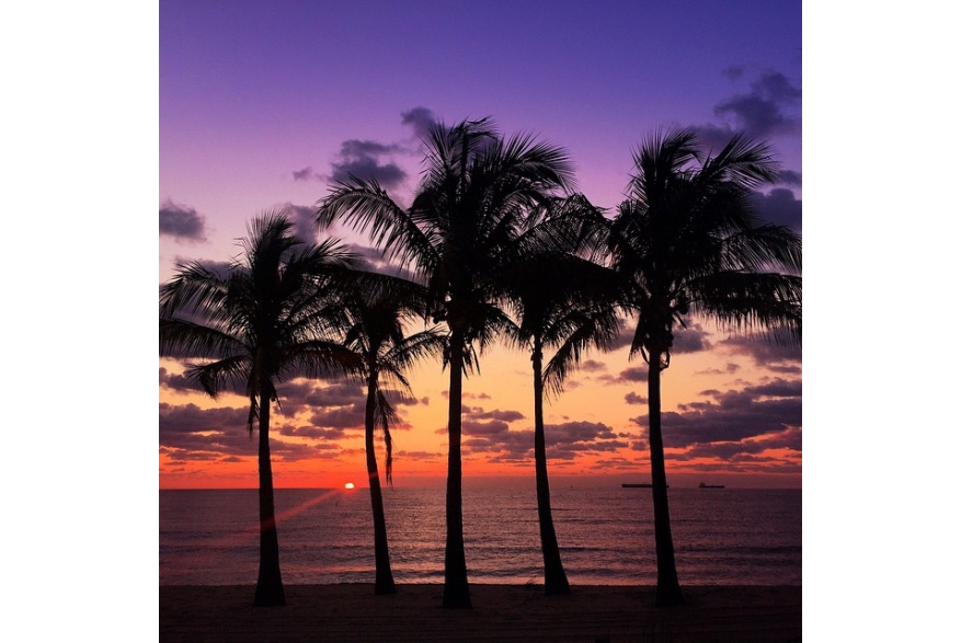Instagram photo liked on 03/30/15