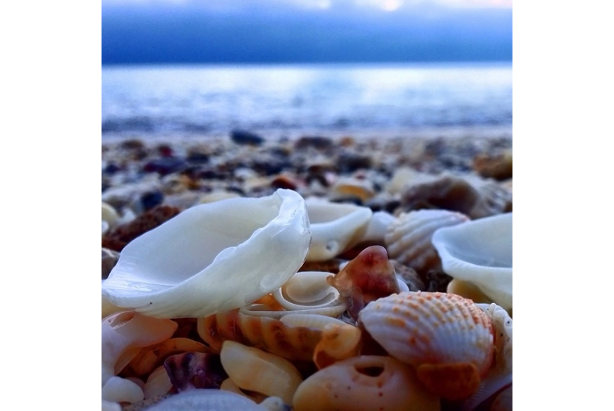 Instagram photo liked on 03/13/14