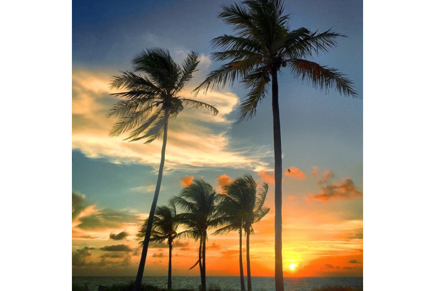 Instagram photo liked on 04/12/15