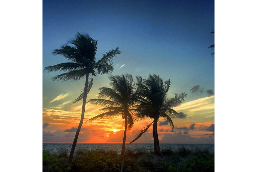 Instagram photo liked on 04/15/15