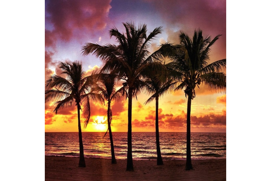 Instagram photo liked on 04/16/15