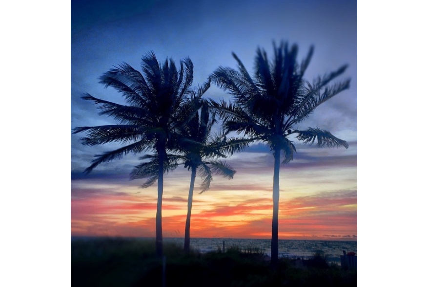 Instagram photo liked on 05/04/15