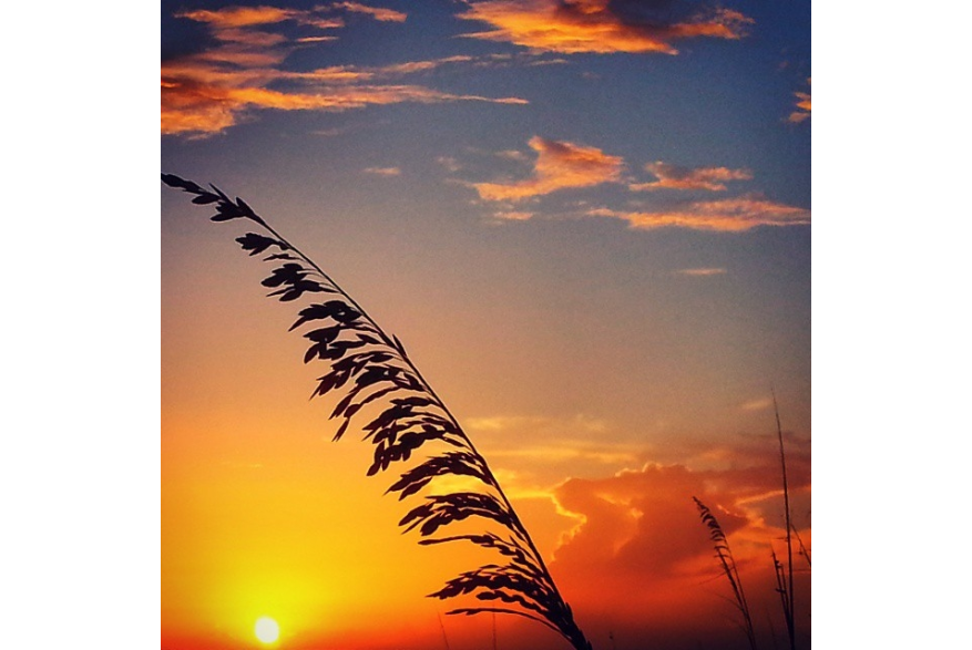 Instagram photo liked on 05/12/15