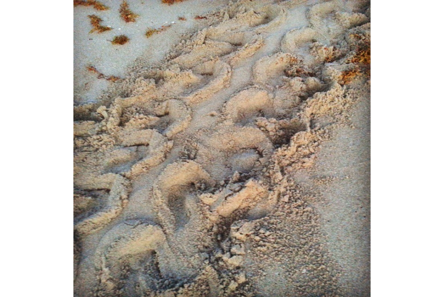 Instagram photo liked on 06/04/15