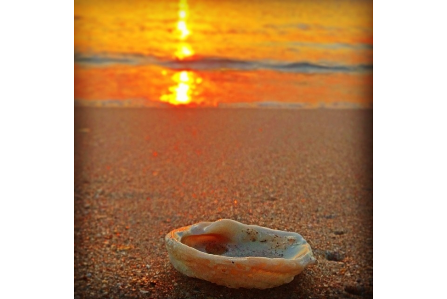 Instagram photo liked on 02/26/14