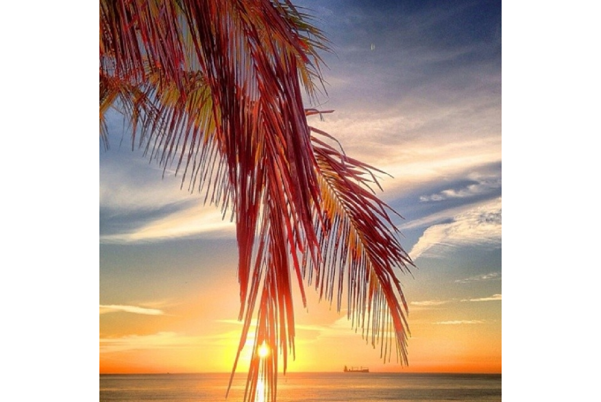 Instagram photo posted on 01/27/14