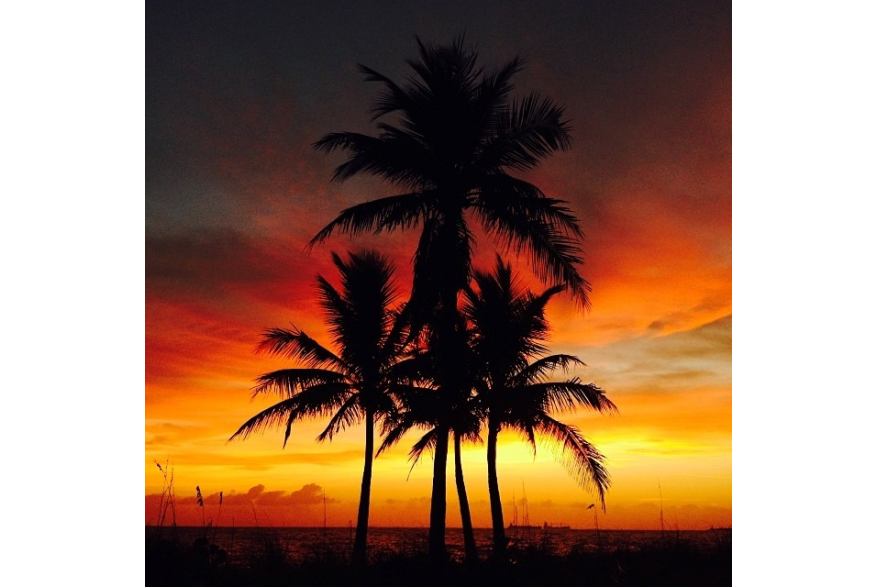 Instagram photo liked on 12/15/13