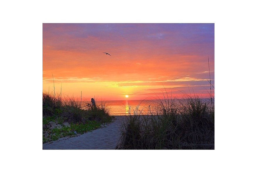 Instagram photo liked on 03/29/14