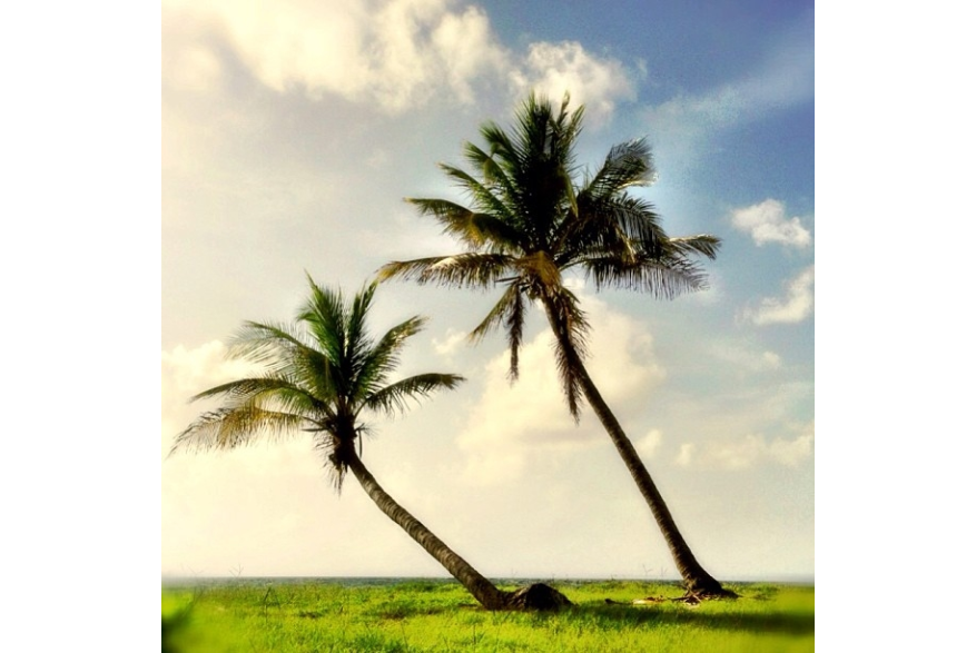 Instagram photo liked on 06/24/13