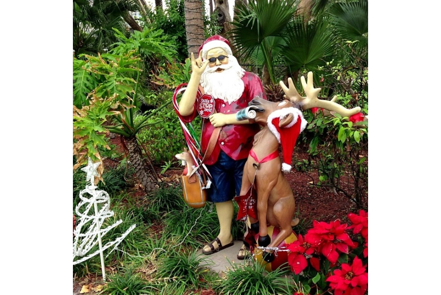 Instagram photo liked on 12/20/13
