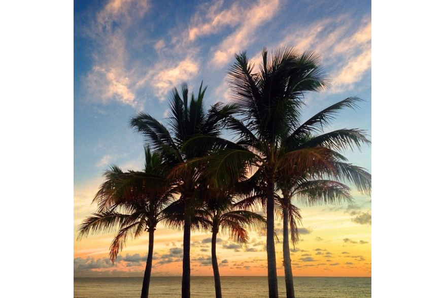 Instagram photo liked on 11/24/13