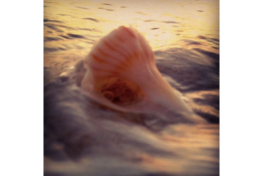 Instagram photo liked on 09/28/13