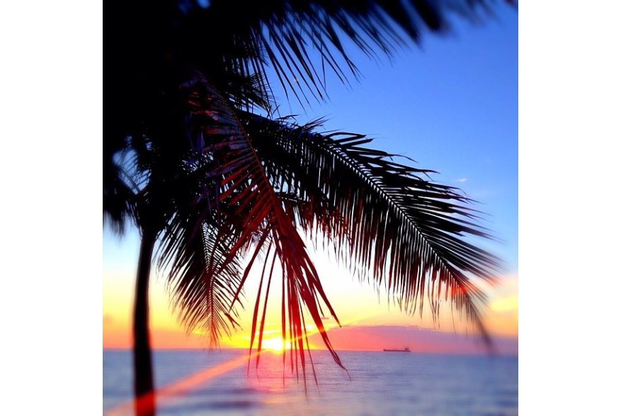 Instagram photo liked on 10/14/13