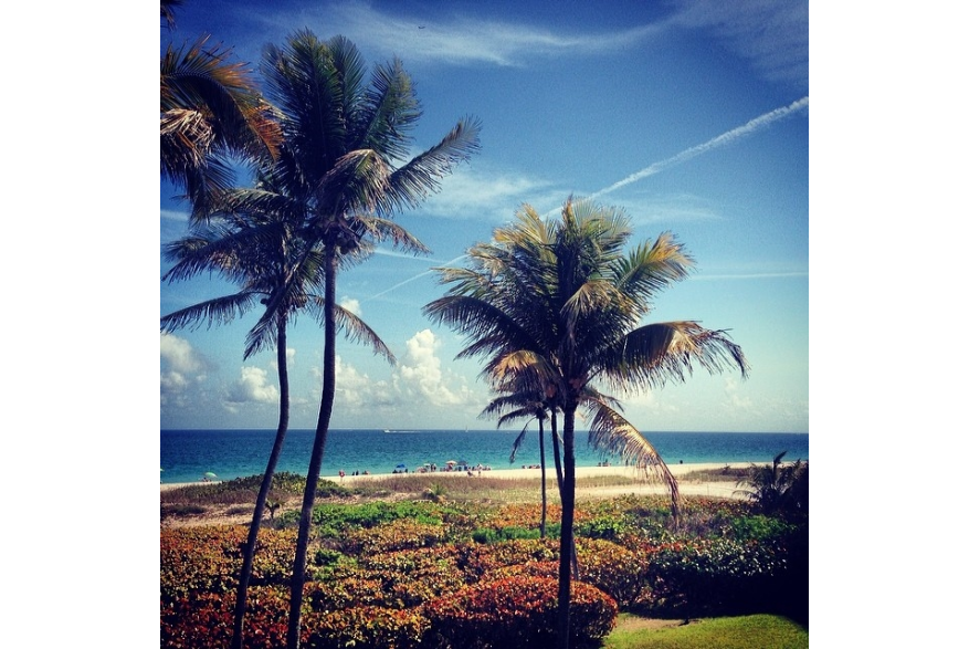 Instagram photo liked on 02/24/14
