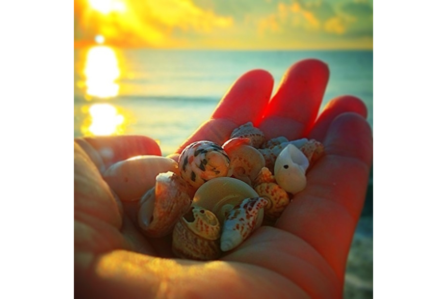 Instagram photo liked on 09/08/13