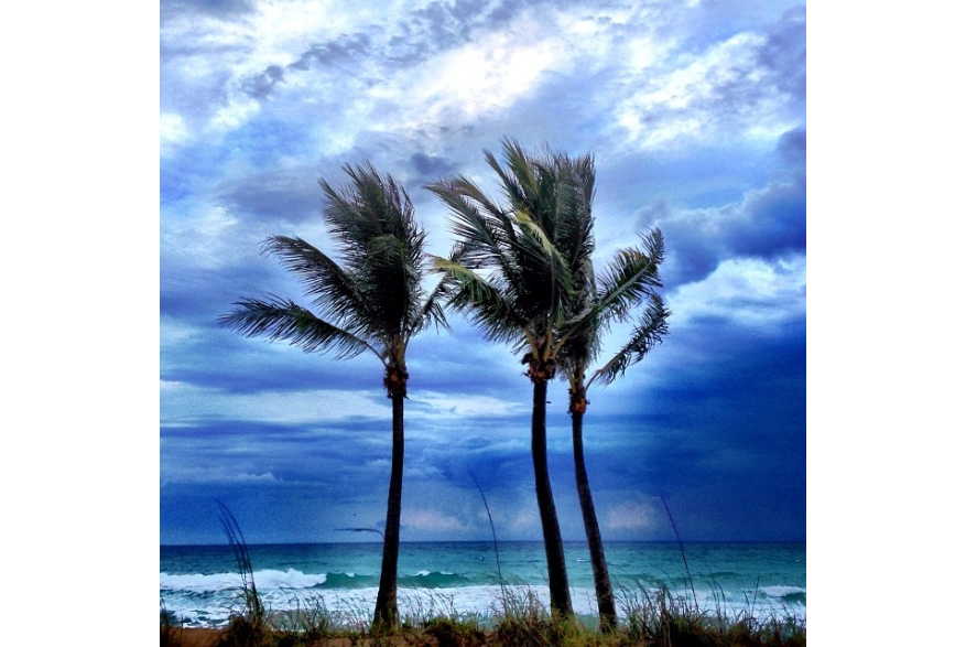 Instagram photo liked on 01/31/14
