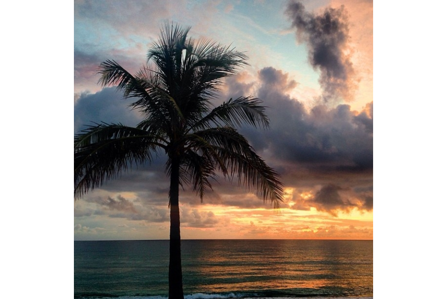Instagram photo liked on 11/21/13