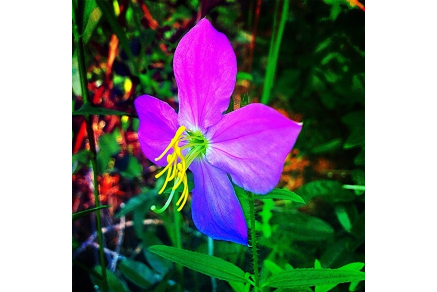 Instagram photo liked on 07/29/13