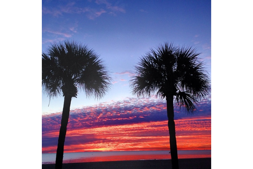 Instagram photo liked on 01/18/14