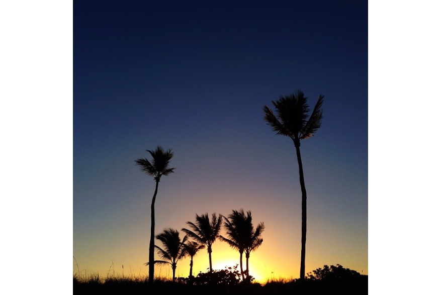 Instagram photo liked on 02/02/14