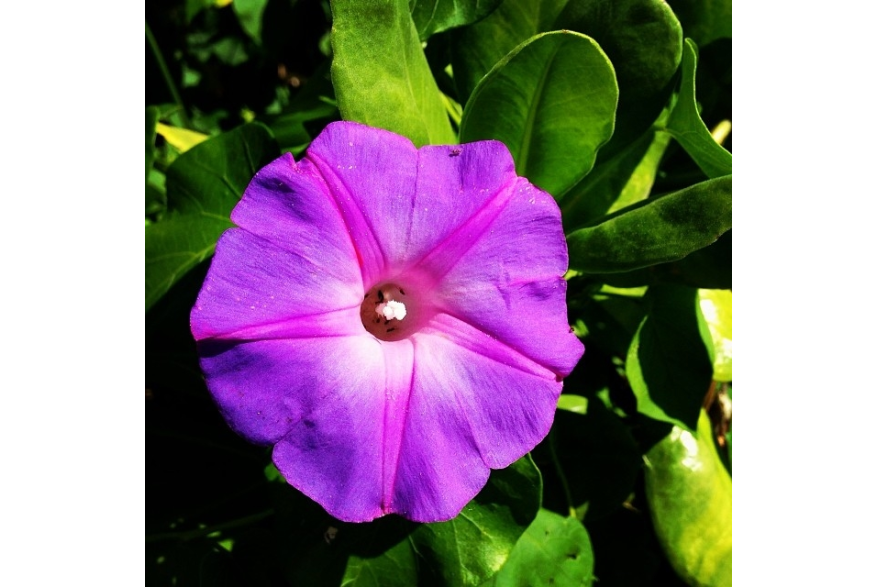 Instagram photo liked on 03/01/14