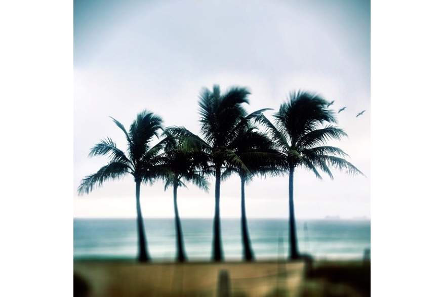 Instagram photo liked on 11/08/13