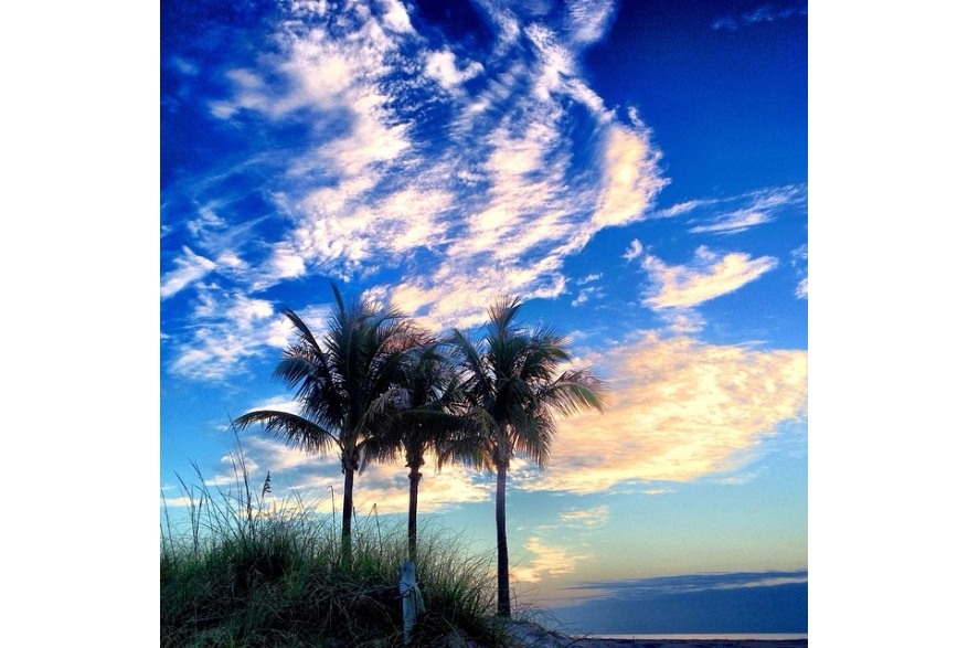 Instagram photo liked on 04/09/14