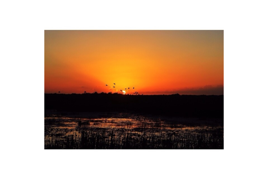 Instagram photo liked on 02/02/14