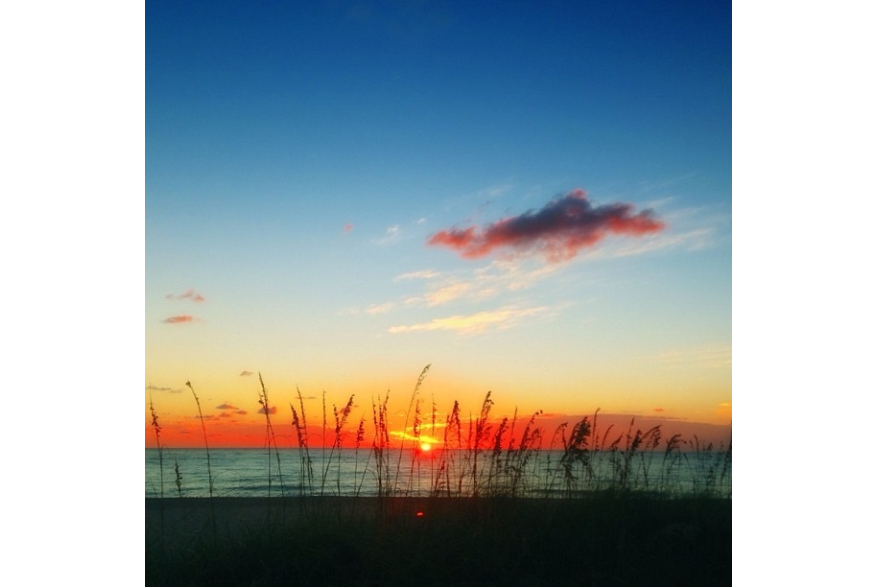 Instagram photo liked on 10/14/13