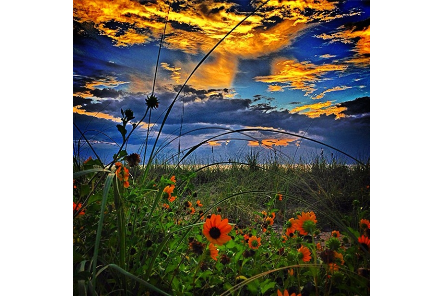 Instagram photo liked on 09/15/13