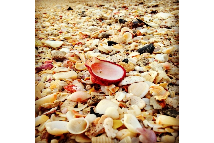 Instagram photo liked on 12/30/13
