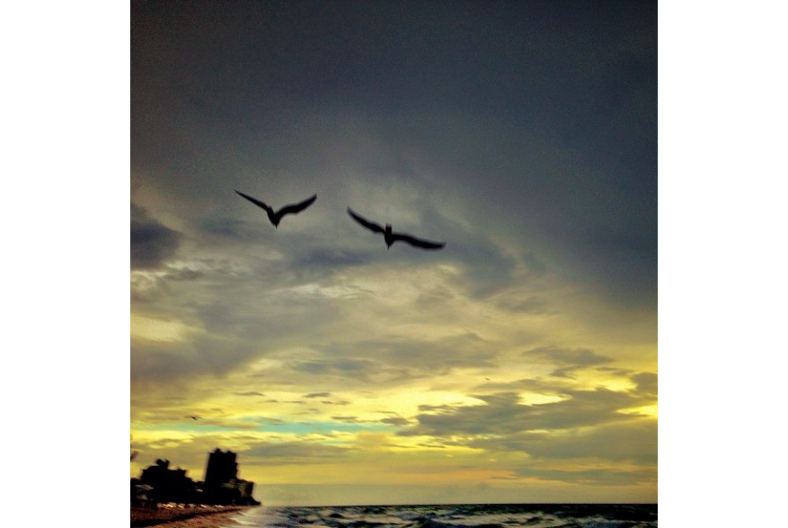 Instagram photo liked on 09/16/13